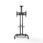 Kanto MTM65PL Mobile TV Cart with Adjustable Shelf for 37" - 65" Monitor-Supports up to 80 lbs (36.4 kg)