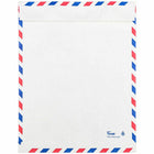 JAM Paper 10" x 13" Tyvek Tear-Proof Open End Catalog Envelopes - White Airmail - 10 Pack-Size: Open End (10 x 13 inches)