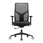Raynor High Back Executive Mesh Chair - Black-Ratchet back height adjustment