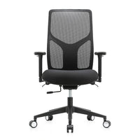 Raynor High Back Executive Mesh Chair - Black-Ratchet back height adjustment