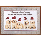 Rosedale "Wishing You A Merry Christmas And Every Good Thing This Season Can Bring" Greeting Cards - 5-1/2" x 8" - 12 Pack-Greeting Cards