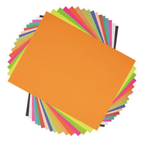 North American Paper 2 Ply Bristol - 22" x 28" - Assorted - 48 Sheets-22" x 28"