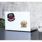 Avery Removable Vinyl Film Rectangle Labels - 8" x 10-1/2" - White - 8 Labels-1 label per sheet