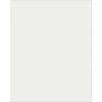 Pacon Plastic Poster Board 22" x 28", Clear, 25 Pack-Clear Posterboards