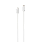 Targus iStore USB C to Lightning Cable 1m-3.3ft (1m) sync and charging USB-C to Lightning cable