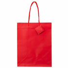 JAM Paper Gift Bags with Rope Handles - Large - 10" x 13" x 5" - Red Matte - 100 Pack-Size: Large (10 x 13 x 5 inches)