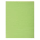North American Paper 4 Ply Bristol - 22" x 28" - Emerald Green - 48 Sheets-22" x 28"