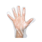 Globe Polyethylene Powder Free Gloves - Medium - Clear - 500 Pack-4.7" wide and 9" long