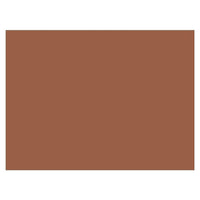 Pacon Tru-Ray Construction Paper 18" x 24" Warm Brown - 100 Sheets (PAC103089)-Acid-free sheets offer resistance against colour fading
