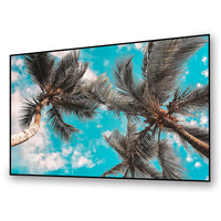 Elunevision 100" 16:9 NanoEdge Reference 4K Fixed-Frame Screen-Electric projection screen