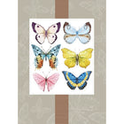 Millbrook Studios 5-3/8" x 7-3/4" Greeting Cards/Envelopes - 2033-Value Greeting Cards