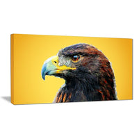 Designart Golden Eagle, Yellow Canvas Art Print, 5 Panels, (PT2312-32-16)-Print