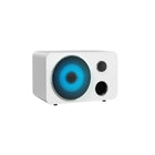 iCreation BT-319 HIFI Karaoke Speakers-Adjustable Rotary Control