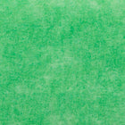 Shurtech Paint Tape - Green - 36 mm x 55 m-8-Day Clean Removal