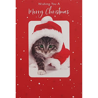 Millbrook Studios 5-3/8" x 7-3/4" Greeting Cards/Envelopes - 21375-Value Greeting Cards