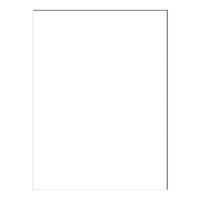 North American Paper Inc. Construction Paper - 9" x 12" - White - 48 Sheets-12" x 9" (Portrait)