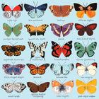 Mudpuppy Butterflies of North America Family Puzzle - 500 Pieces-Contains an insert of the full puzzle image