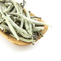 Tao Tea Leaf Organic Silver Needle White Tea Tin - Loose Leaf - 42g-The most delicate of the White teas