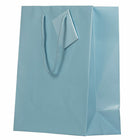 Jam Paper Glossy Gift Bags with Rope Handles - Medium - 8" x 10" - Baby Blue - 3 Pack-Our giftbags feature a soft rope handle and an attached blank gift tag, allowing you to address your gifts or favors.