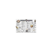 Remedia Menu Math Old-Fashioned Ice Cream Parlor Book, Grade 3 - 6, 6/Pack (REM101D)-Age group and grade: Ages 6 - 12 and grades 3rd - 6th