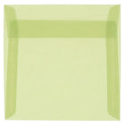 JAM Paper 6.5 x 6.5 Square Envelopes, Leaf Green Translucent Vellum, 250 Pack (1592115H)-Leaf green translucent envelope
