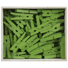 JAM Paper Wood Clothing Pin Clips, Medium, 1 1/8, Green, 3 Packs of 50, 150 Total (230729147g)-50 pins/clips per pack