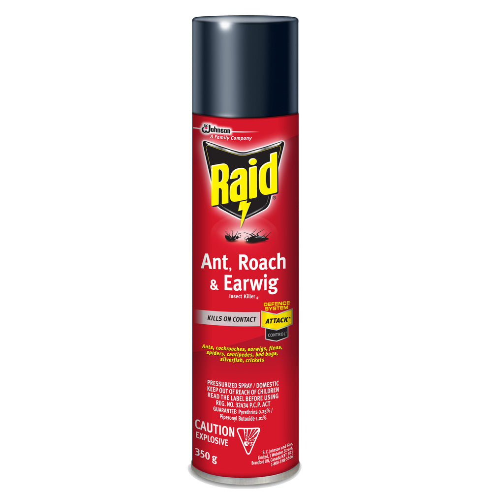 Raid Ant, Roach & Earwig Insect Killer - 350g | staples.ca