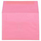 JAM Paper 6" x 9" Booklet Translucent Vellum Envelopes - Rosebud - 25 Pack -Size: 6 x 9 inches