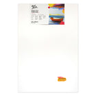 Mont Marte Studio Single-Thick Canvas - Pine Frame - 23.5"  x 35.5" - 2 Pack-Framed canvas