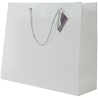 Jam Paper Opaque Shopping Bags - Large - 13" x 10 1/2" x 4" - Clear - 100 Pack-Clear Opaque Shopping Bag