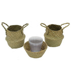 Cathay Importers Seagrass Basket with PVC Hard Liner, Natural, 3 Pack (EC-08-1942)-Traditional seagrass weaving