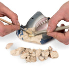National Geographic Shark Tooth Dig Kit-4