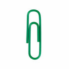 JAM Paper Colored Standard 1" Paper Clips - Green - 2 Packs of 100-Premium paper clips made from high quality vinyl coated steel wire