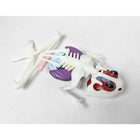 Dissect It Frog Lab-Free refill pack
