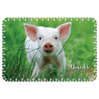 Millbrook Studios 5-3/8" x 7-3/4" Thanks Greeting Cards and Envelopes, 18 Pack (06819)-Printed on uncoated card stock