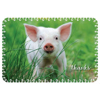 Millbrook Studios 5-3/8" x 7-3/4" Thanks Greeting Cards and Envelopes, 18 Pack (06819)-Printed on uncoated card stock
