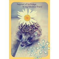 Millbrook Studios 5-3/8" x 7-3/4" Happiest Of Bdays Greeting Cards and Envelopes, 18 Pack (06324)-Printed on uncoated card stock