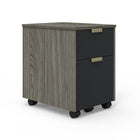 Whalen Timbercrest Collection File Cabinet-2 Drawer Mobile File