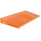 JAM Paper #10 Plastic Envelopes with Zip Closure, 5 x 10, Orange Poly, 12 Pack (921Z1or)-Size: 5" x 10"