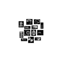 Roylco Animal X-Rays, 13/Pack (R-5910)-Age group and grade: Ages 4+ and grades kindergarten - 4th
