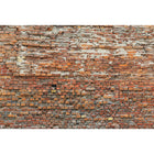 Komar Bricklane Wall Mural, Neutral-Printed on non woven