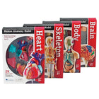 Learning Resources Anatomy Models Set-Age group and grade: Ages 8 - 11 and grades 3+