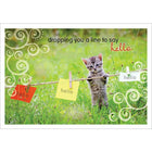 Aline Greetings General Thinking of You Card, Kitten, dropping you a line to say hello, 18 Pack-Premium uncoated paper stock