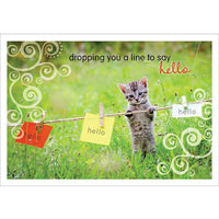 Aline Greetings General Thinking of You Card, Kitten, dropping you a line to say hello, 18 Pack-Premium uncoated paper stock