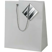 Jam Paper Opaque Shopping Bags - Small - 7 1/2" x 9" x 4" - Clear - 100 Pack-Clear Opaque Shopping Bag