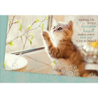 Aline Greetings General Birthday Card, Kitten, Viewing life with a curious heart, 18 Pack-Premium uncoated paper stock
