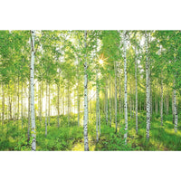 Komar Sunday Wall Mural, 100" x 145"-8 Panel Mural