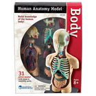 Learning Resources Human Body Anatomy Model-Age group and grade: Ages 8 - 11 and grades 3+