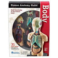 Learning Resources Human Body Anatomy Model-Age group and grade: Ages 8 - 11 and grades 3+