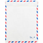 JAM Paper Tyvek Tear-Proof Open End Catalog Envelopes - 9" x 12" - White Airmail - 10 Pack -Quantity: 10 Envelopes per Pack